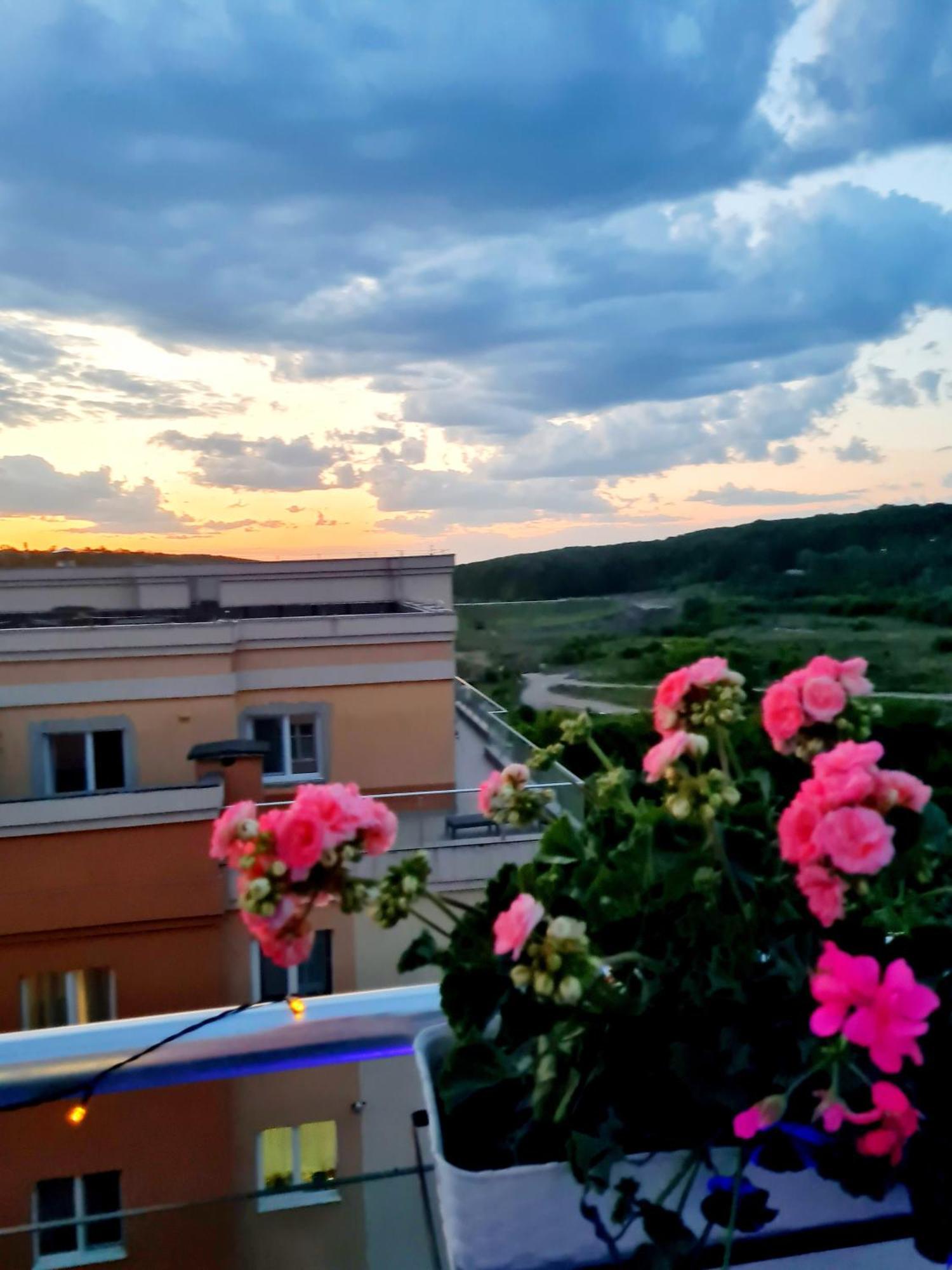 Penthouse View Aeroport Iasi 2公寓 外观 照片