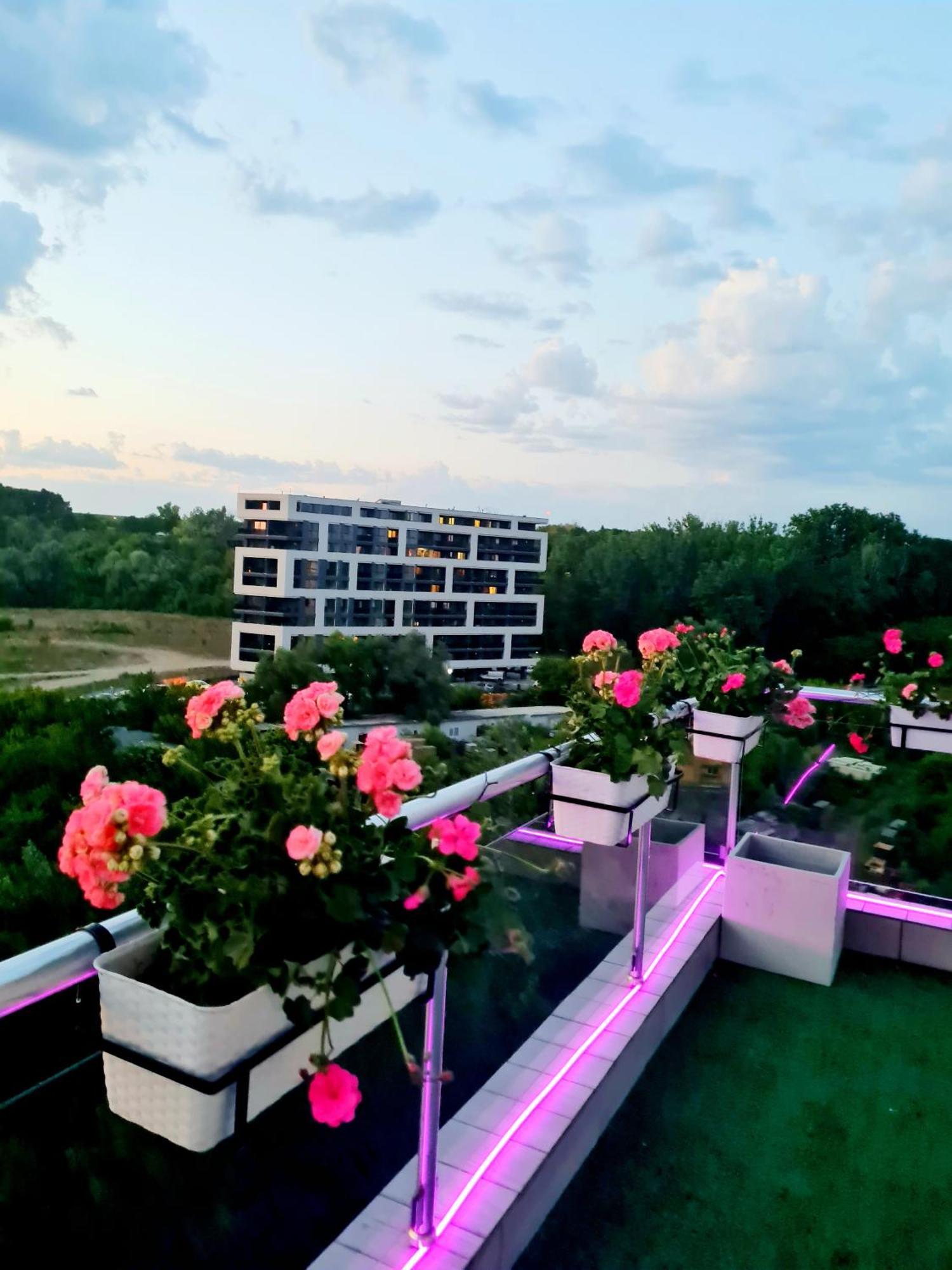 Penthouse View Aeroport Iasi 2公寓 外观 照片