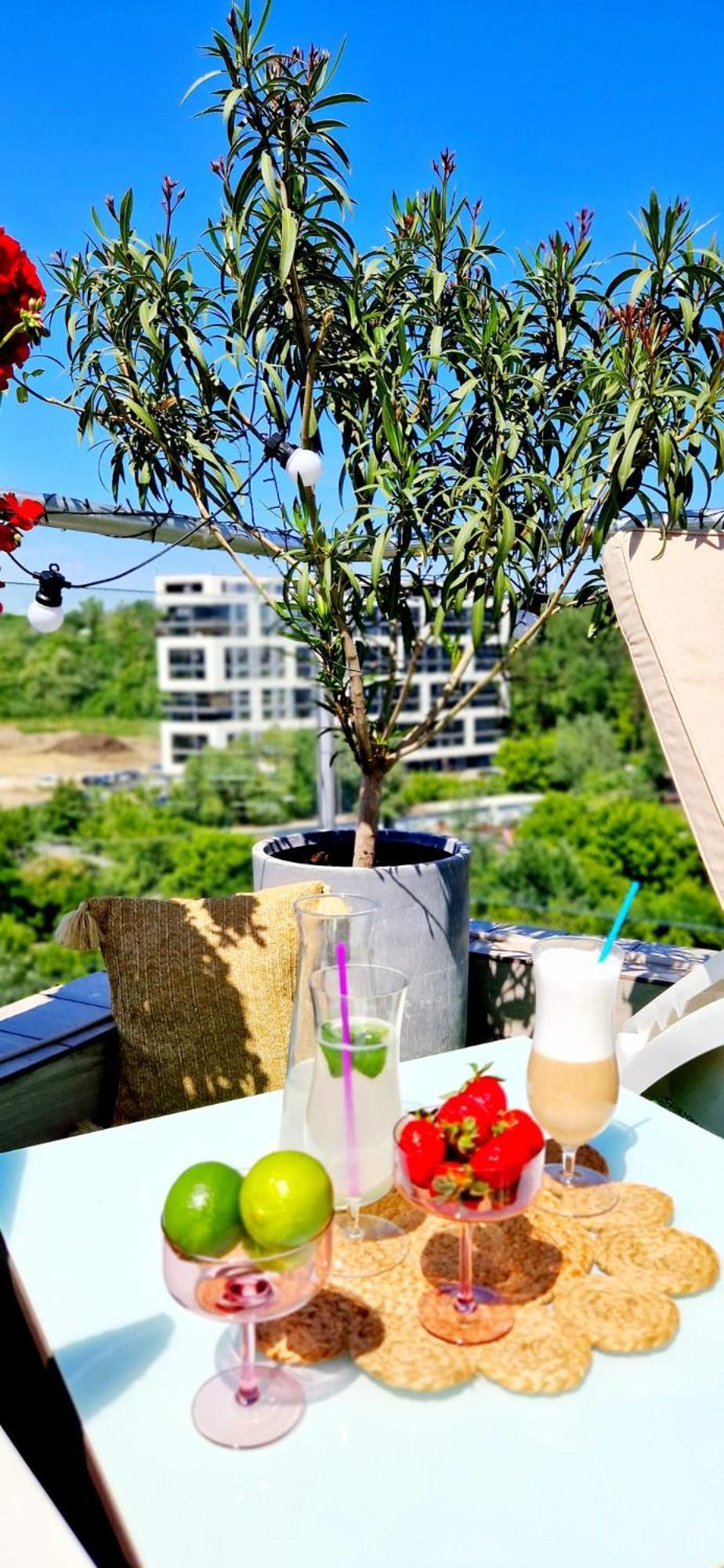 Penthouse View Aeroport Iasi 2公寓 外观 照片